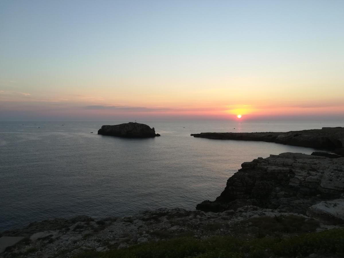 Mandorleolio Bed & Breakfast Polignano a Mare Eksteriør bilde