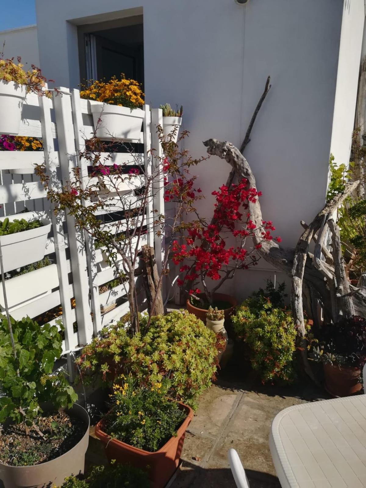 Mandorleolio Bed & Breakfast Polignano a Mare Eksteriør bilde