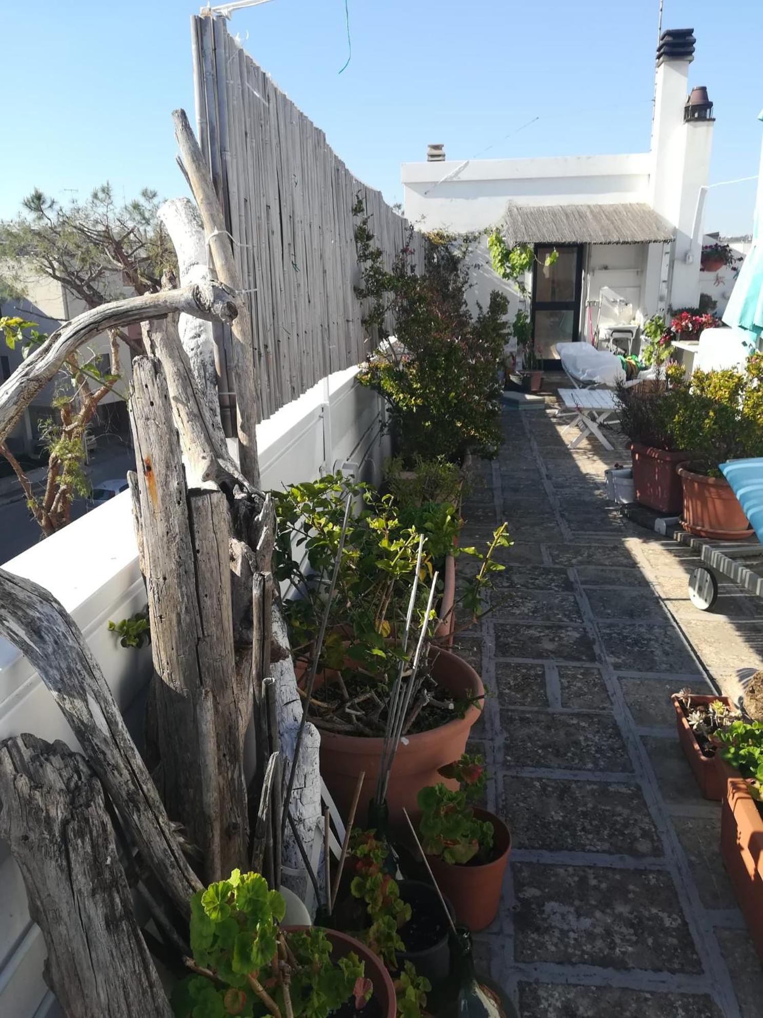 Mandorleolio Bed & Breakfast Polignano a Mare Eksteriør bilde