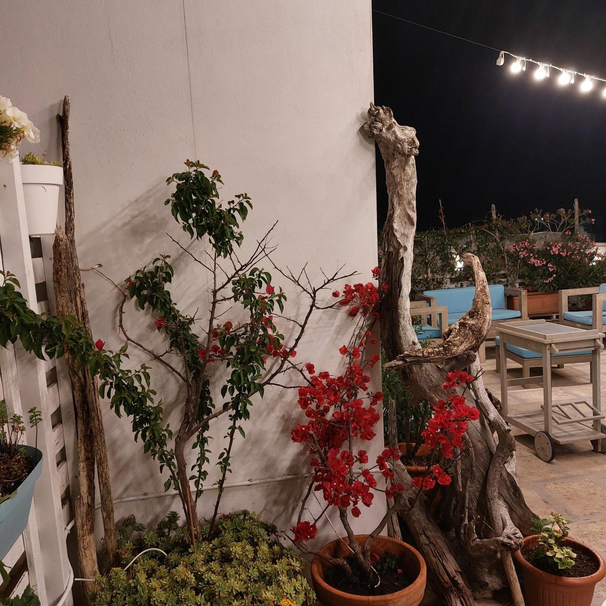 Mandorleolio Bed & Breakfast Polignano a Mare Eksteriør bilde